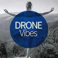 dronevibeslogo
